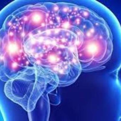 Timeline: LA MENTE HUMANA