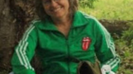 Timeline: Trajetória escolar/acadêmica Stefany