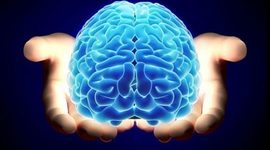 Timeline: LA MENTE HUMANA