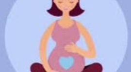 Timeline: DESARROLLO PRENATAL