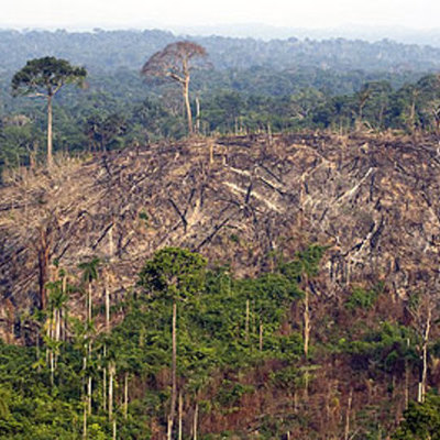 Timeline: Gestión ambiental mundial