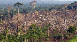 Timeline: Gestión ambiental mundial