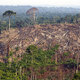 Deforestacion amazonas