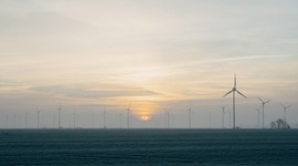 Timeline: Historia y evolución del desarrollo sustentable