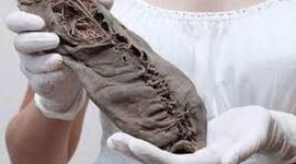 Timeline: Evolución del Calzado