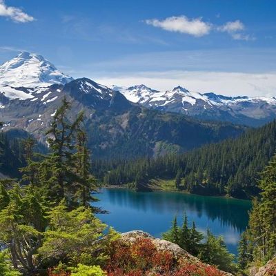 Timeline: Escucha Activa