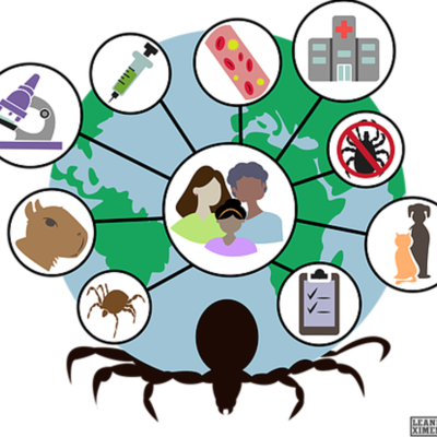 Timeline: Linea del tiempo - Jessica