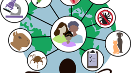 Timeline: Linea del tiempo - Jessica