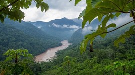 Timeline: Tarapoto and its wonders