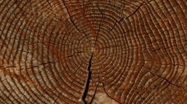 Timeline: EDU 568/568