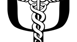 Timeline: Historia de la psicologia de la salud