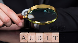 Timeline: Auditoría Administrativa