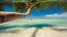 Timeline: EXCURSIÓN A LA COSTA CARIBE