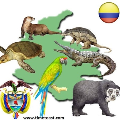 Timeline: NORMATIVIDAD PARA LA PROTECCIÓN DE LA FLORA Y LA FAUNA EN COLOMBIA