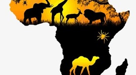 Timeline: África - Linha do Tempo CEF 05