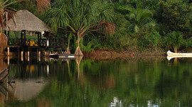 Timeline: Travel to Tarapoto