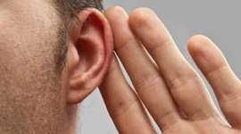 Timeline: Escucha activa