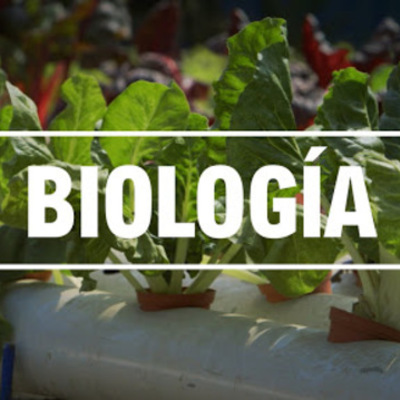 Timeline: Historia de la biología