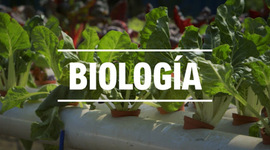 Timeline: Historia de la biología