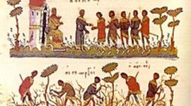 Timeline: La Historia de la Administracion