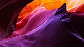 Timeline: Línea del tiempo acerca de la vida en nuestro planeta