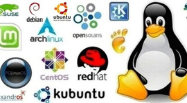 Timeline: Distribuciones