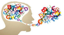 Timeline: PSL Cronología