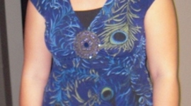 Timeline: Technology in Miss Newman's Classrooms