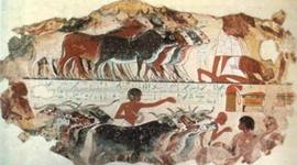 Timeline: Sucesos Historicos en la Medicina Veterinaria