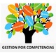 Gestion por competencias 2 1 638