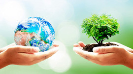 Timeline: Evolución de la Responsabilidad Social en México y el Mundo