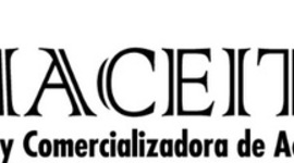 Timeline: PALMACEITE S.A