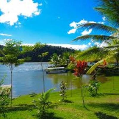 Timeline: MY ADVENTURE IN TARAPOTO