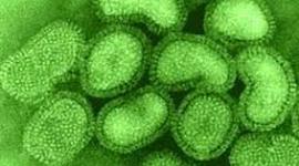 Timeline: Pandemias por influenza en los siglos XX y XI