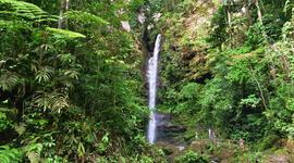 Timeline: Tarapoto and its wonders