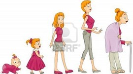 Timeline: Linea De Tiempo