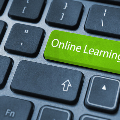 Timeline: The Timely Growth of Online Learning
