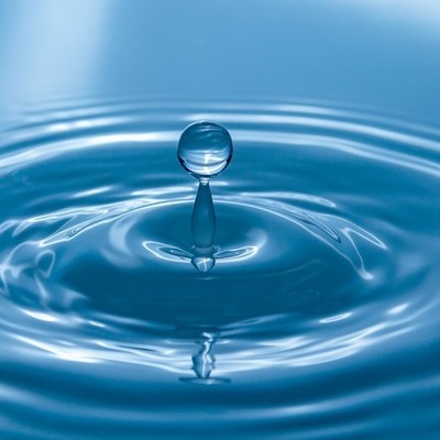 Timeline: La historia de las Ondas