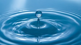 Timeline: La historia de las Ondas