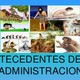 Antecedentes de la administracion 1 728