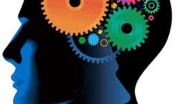 Timeline: Pensamiento Administrativo