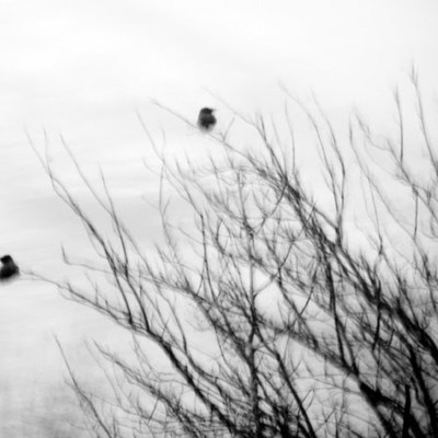 Timeline: Historia del diseño industrial en México