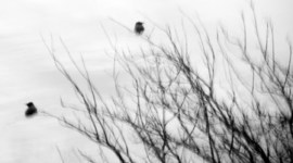 Timeline: Historia del diseño industrial en México