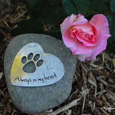 Timeline: A Rose For Emily