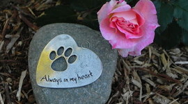 Timeline: A Rose For Emily