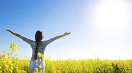 Timeline: reconociendo mis competencias