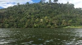 Timeline: Timeline of the history of tarapoto