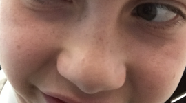 Timeline: Shogunate Japan