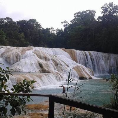 Timeline: ANIMALES EXTINTOS