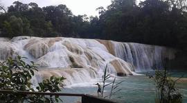 Timeline: ANIMALES EXTINTOS